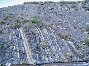 Potential Successes Top Regional Challenges-fig1